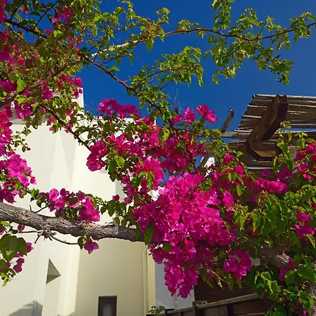 Sunrise By The Sea Kiotari