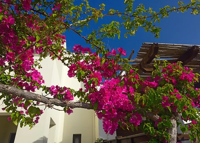 Sunrise By The Sea Kiotari